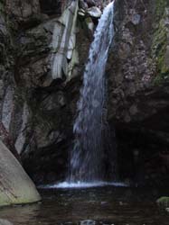 Picture_2 046